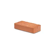 Zidak navadni polni, 25x12x6.5cm