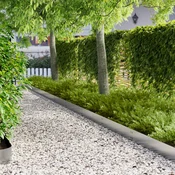 Vidaxl Robovi trave 30 kos 100 x 20 cm Nerjaveče jeklo Srebrna