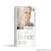 FOREVER BLONDE BOJA ZA KOSU 11P