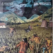 Flowers In Concrete & Dim Prospects - Split (LP)