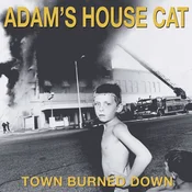 Adams House Cat - Town Burned Down (Translucent Yellow Coloured) (LP)