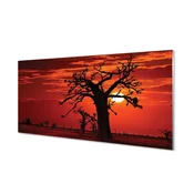 tulup.si Zidna obloga za kuhinju Drevesa nebo oblaki 100x50 cm