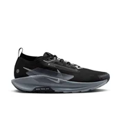 Nike Pegasus Trail 5 GTX