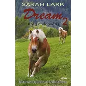 Dream 2.