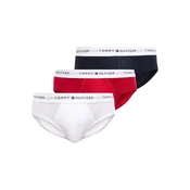 Tommy Hilfiger Underwear Spodnje hlačke marine/svetlo siva/rdeča/bela