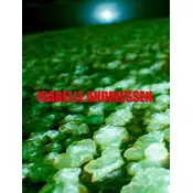 Isabelle Andriessen: Dorm