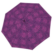 Derby Hit Magic Loop Berry