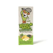 Healthy Bars Recovery priboljšek za pse 38 g