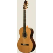 CAMPS M-6-C | Classical, solid Cedar top, Rosewood