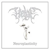 Helge - Neuroplasticity (LP)