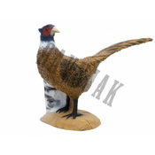SRT Target 3D Pheasant