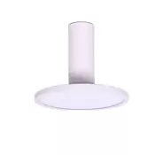 Rabalux 71328 - LED stropno svjetlo OVIDIA LED/20W/230V 3000K bijelo