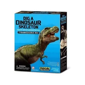 4m iskopaj tiranosaurusa