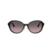 Jimmy Choo Naocare za sunce JC 5044D 500046