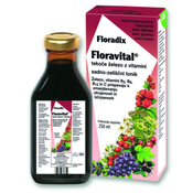 DIETPHARM FLORADIX Floravital 250 ml