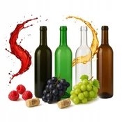 shumee 10X STEKLENICE ZA VINO 0,75 L + ZAMAŠKI - 3 BARVE