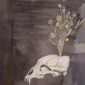 Steve Gunn & Black Twig Pickers - Seasonal Hire (Limited Edition) (Coloured) (LP)