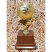 Pokal košarkaška žoga