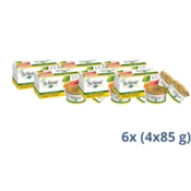 Schesir Multipac Dog - Piletina I Šunka 4x85 - 2.04 kg
