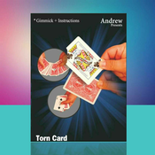 Torn Card by AndrewTorn Card by Andrew