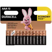 Basic Duracell AAA 12 pc 10PP100006