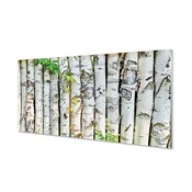 tulup.si Slika na akrilnem steklu Breza listi 100x50 cm 2 obešalnika