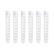 Kozarčki v obliki epruvet za šilce, 13 ml, set 6 kosov