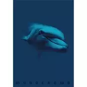 Pigna Monocromo Blue A4 prošiveni kvadratni blok za pisanje od 38 listova P1111-1855