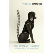 Curious Incident of the Dog in the Night-time