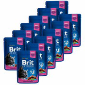Vrečka BRIT Premium Cat Chicken & Turkey 12x100 g