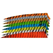 Gateway Feather 3” Shield RW Barred