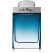 Salvatore Ferragamo Subtil Pour Homme toaletna voda za moške 50 ml