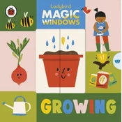 Magic Windows: Growing