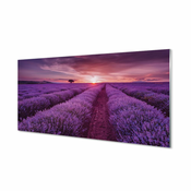 tulup.si Slika na akrilnem steklu Terenske vresovke 125x50 cm 4 obešalnika