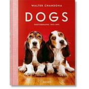 Walter Chandoha. Dogs. Photographs 1941-1991