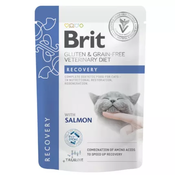 Brit | Cat Recovery vrečka