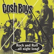 The Cosh Boys - Rock And Roll ...All Night Long! (LP)