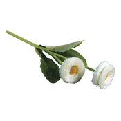 Rayher Marjetica, bela, 23cm, dva cvetova, (20633988)