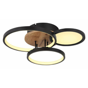 Globo LED stropna svetilka Globo SID 67273-30