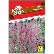 Seme Royal 140, Ruski limonium