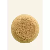 Drench Sponge