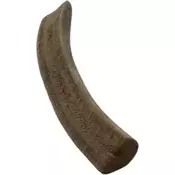 Jama Polovica rogovja severnega jelena - S (30-60g)