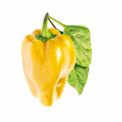 Click and Grow sjemenke za žute paprike