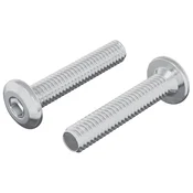 vidaXL vidaXL Vijak za zaklep glave 2 pcs srebrna M6 x 35 mm Jeklo, (5000163931)