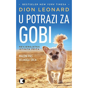 U potrazi za Gobi