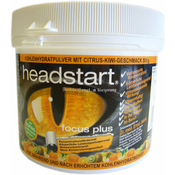 HEADSTART FOCUS PLUS PRAŠEK