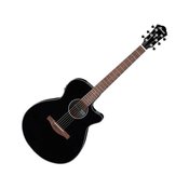 Ibanez Akusticna gitara AEG50-BK
