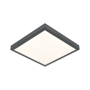 LED plafonsko svetlo VITALI LED/24W/230V