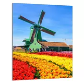 shumee STEKLENA DESKA ZA REZANJE 40x52
