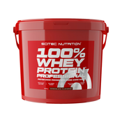 Scitec Nutrition 100% Whey Protein Professional 5000 g, banana